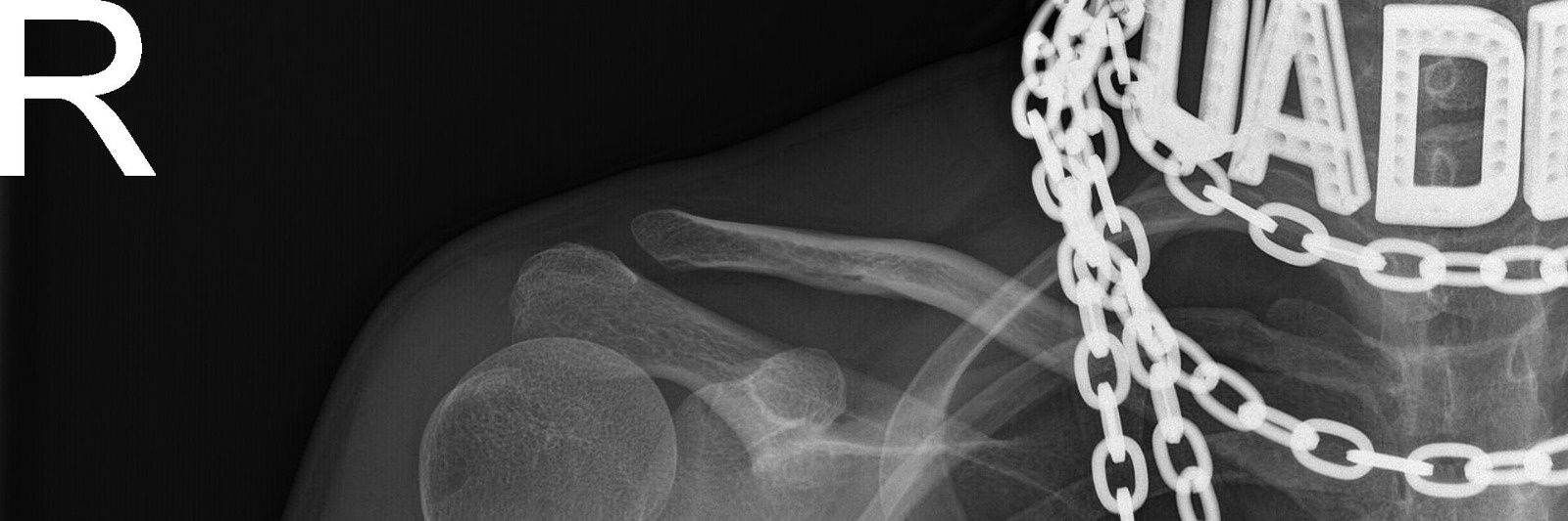 ProfessionalyGay✨ banner