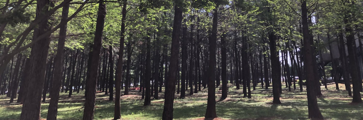 ricesquare's profile banner image