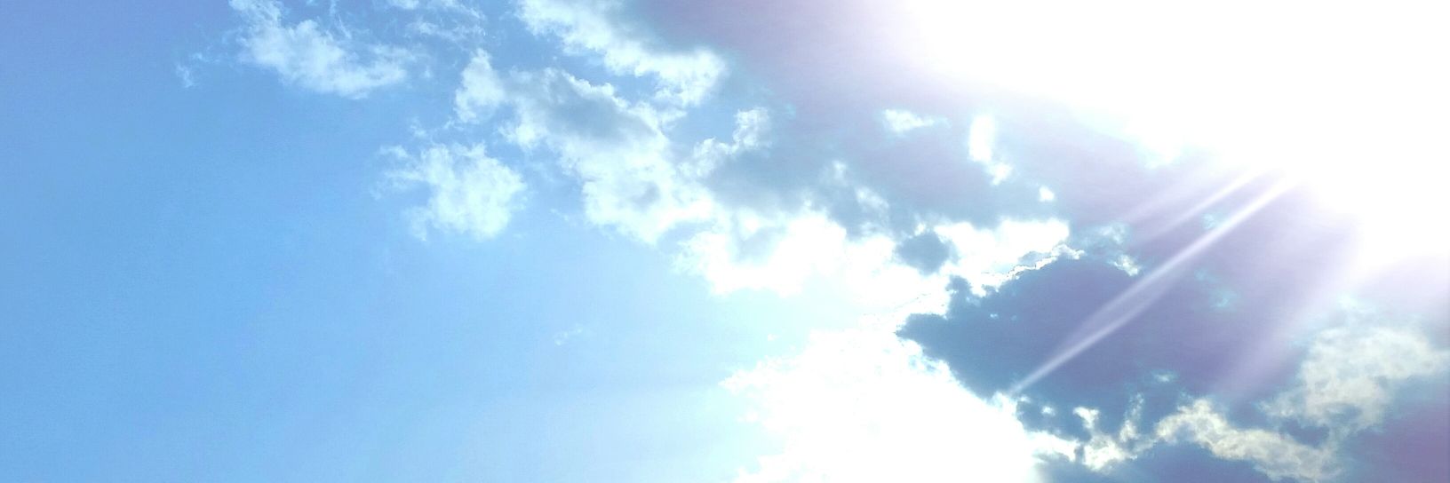 kotoko_msk's profile banner image