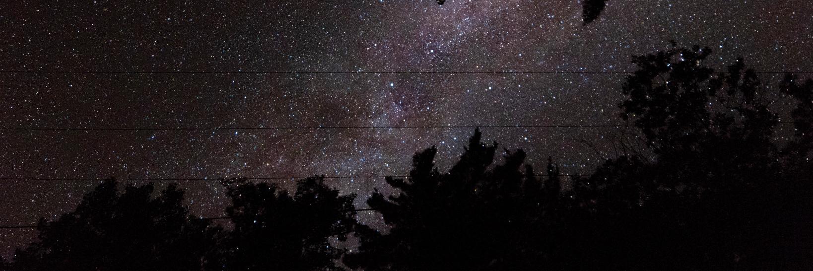 Bhargavi Gali, MD banner