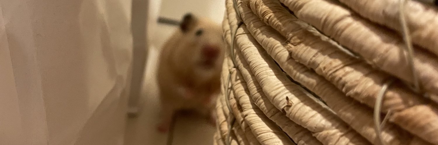 spitz27's profile banner image