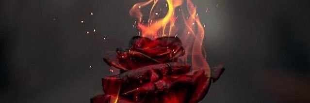 kaitlinxrf's profile banner image