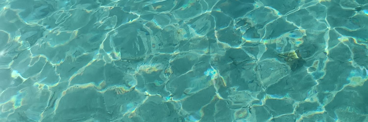 1999xsve's profile banner image