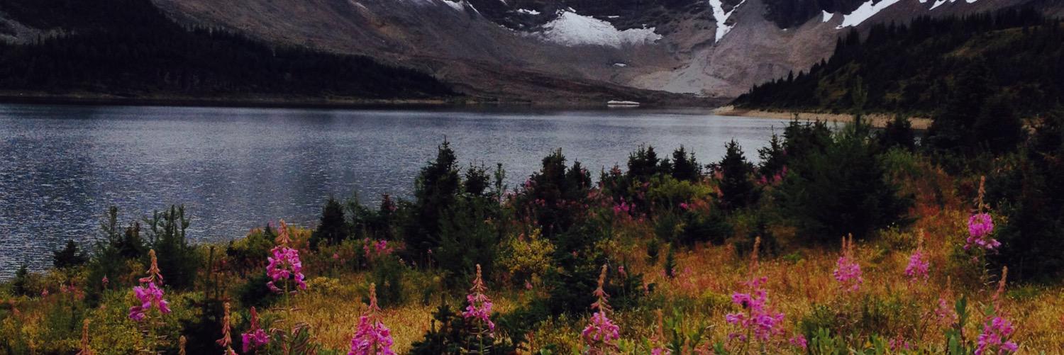 LindaKjarsgaard's profile banner image