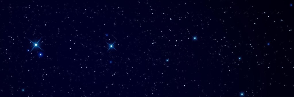 S L U G G Y banner
