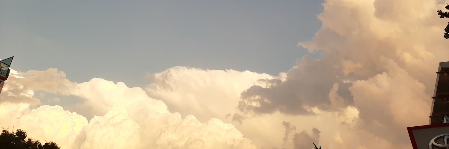 sujichichi's profile banner image