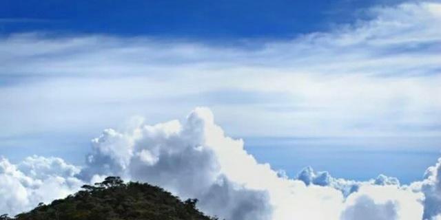 133ni_a's profile banner image