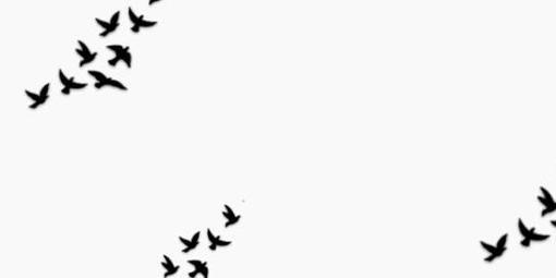 eda_sero's profile banner image