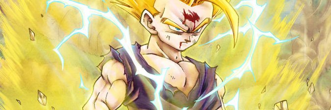 MaestroSeb banner