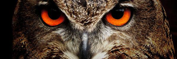♛Chuma♛ banner