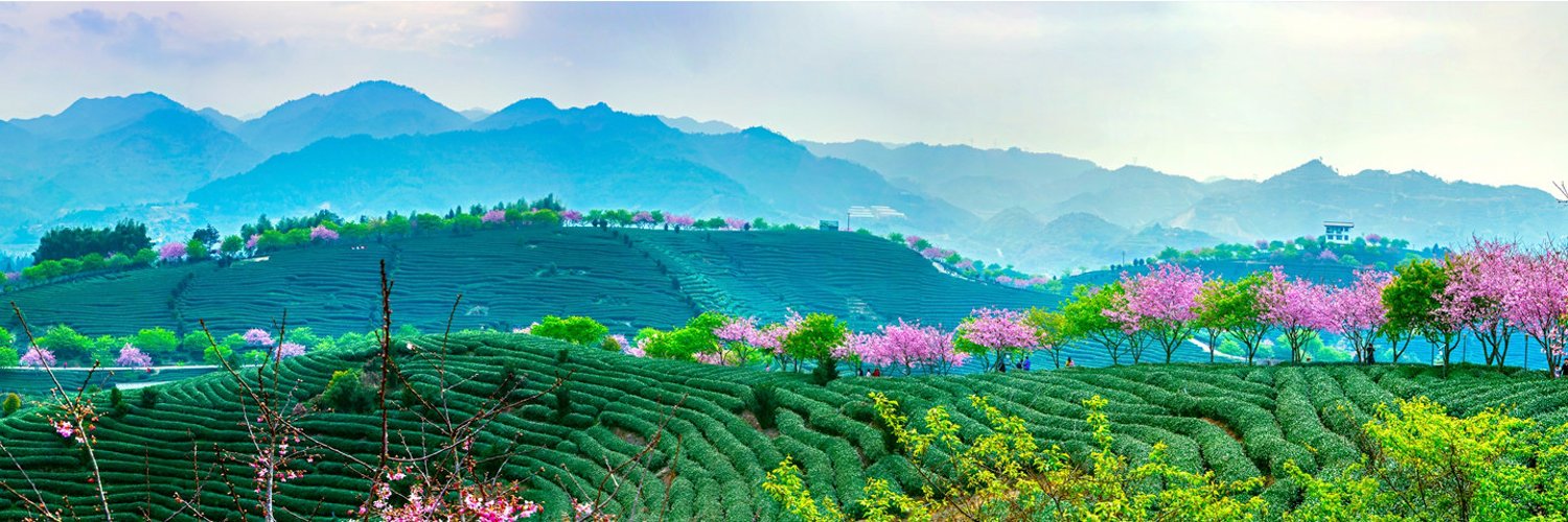 md25445751's profile banner image