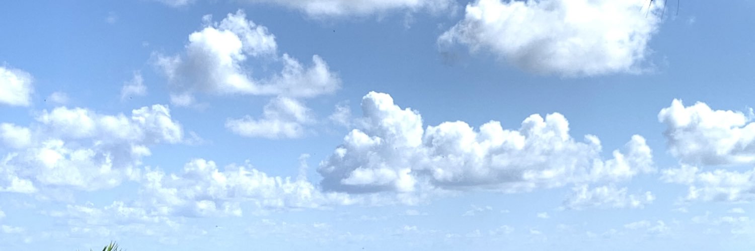 Geleia da Shakira Torres 🍓 banner