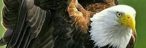 serrano22551's profile banner image