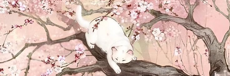 niiberryy's profile banner image