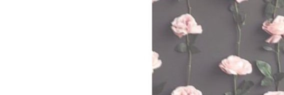 ryry_0813's profile banner image