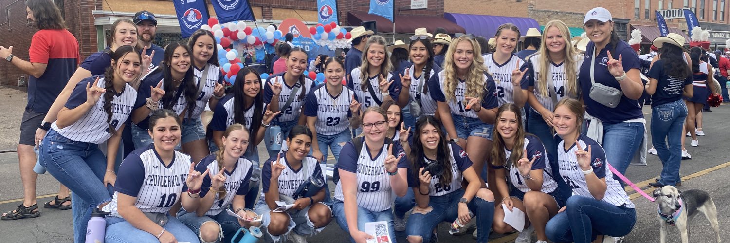 CSU-Pueblo Softball banner