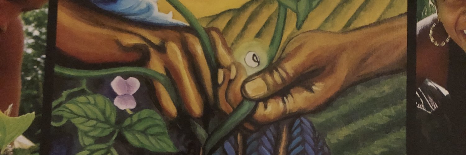 Rachel Chapman banner