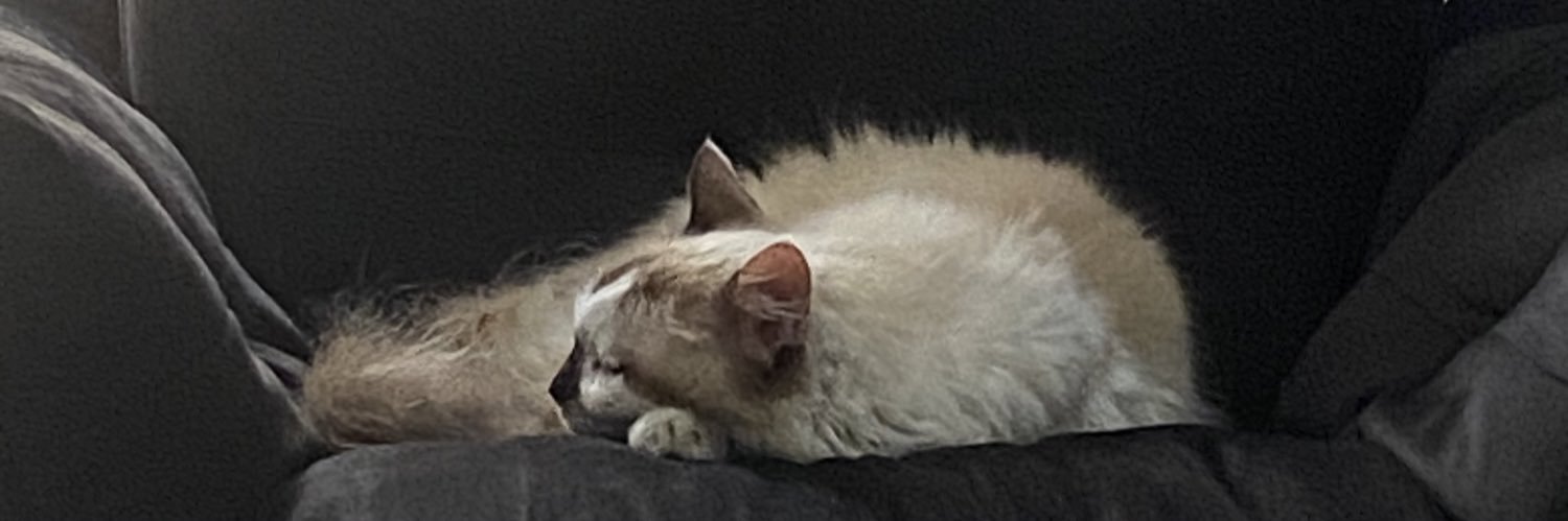 gnagataa's profile banner image