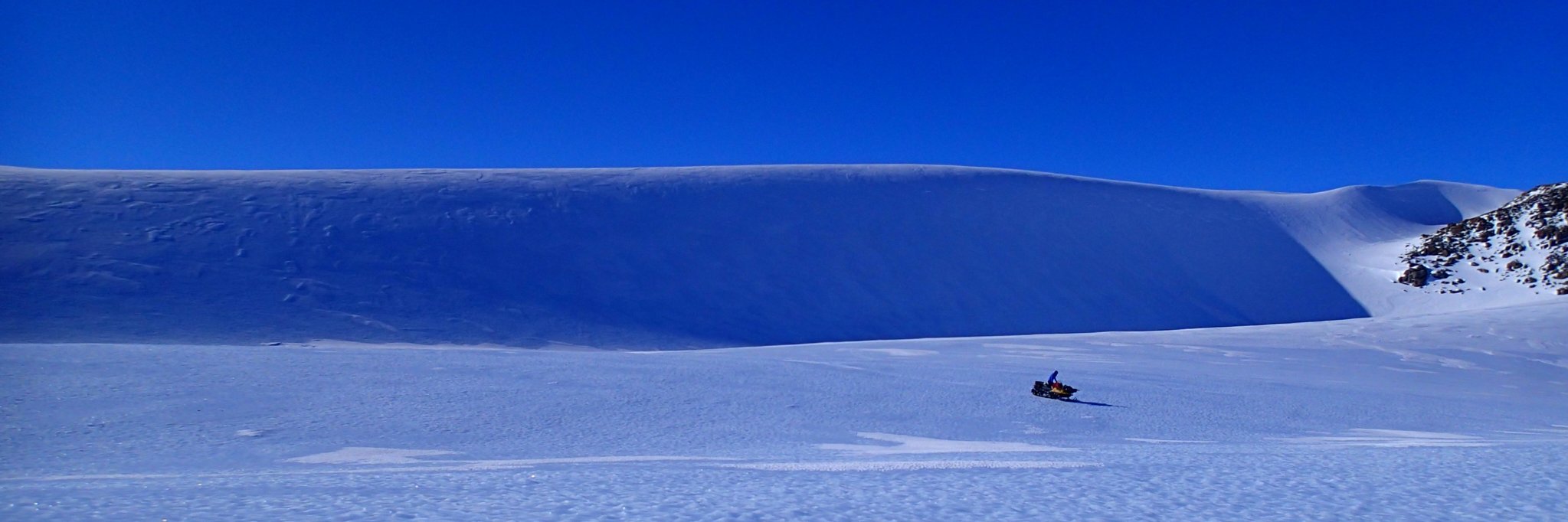 Tomoko Arai 荒井朋子 banner