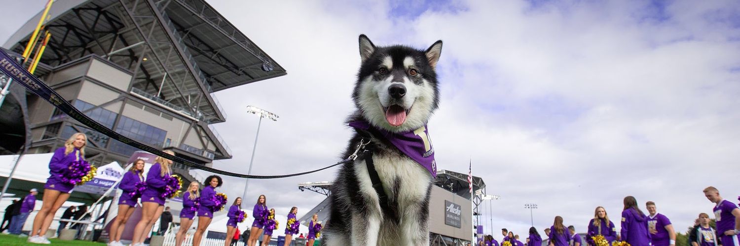 Ewahusky's profile banner image