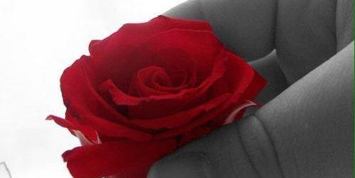 youseflover1's profile banner image