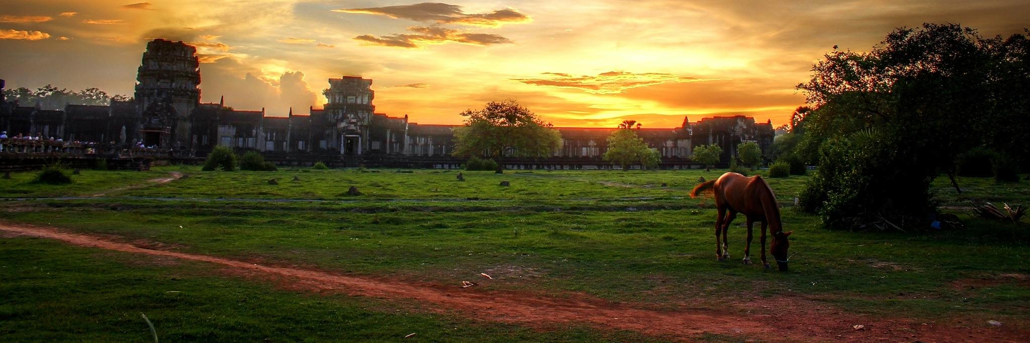 YourTravelPath's profile banner image
