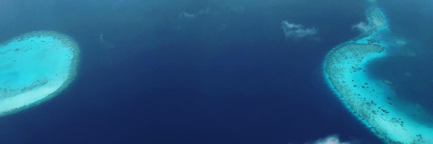 諸葛痞夫 banner