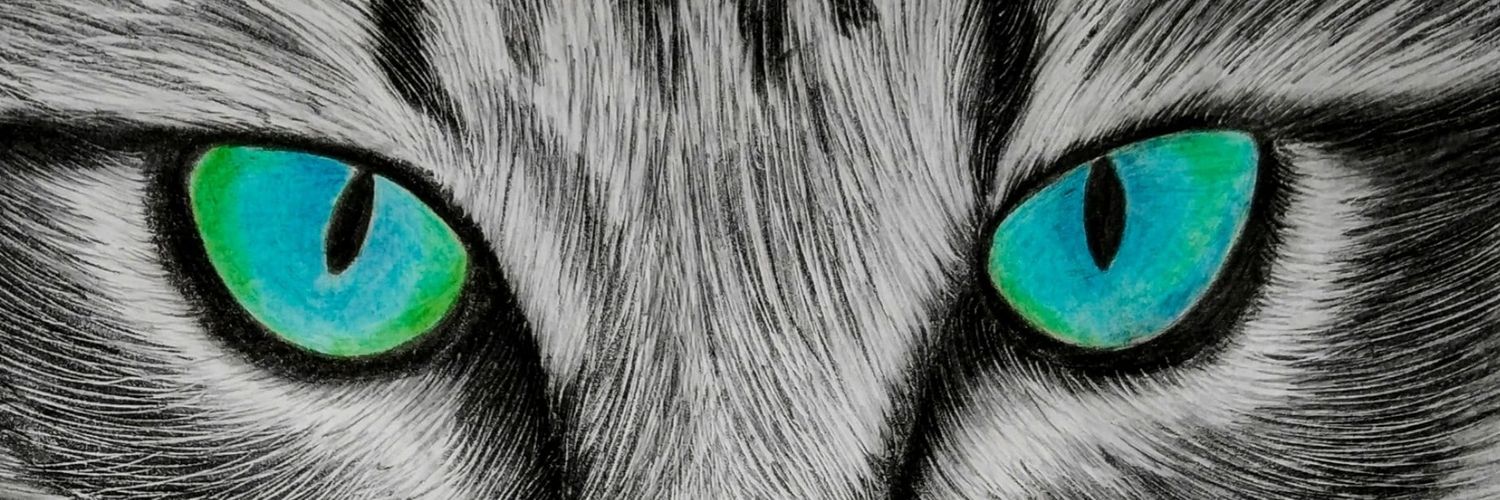 ranjanrocker's profile banner image