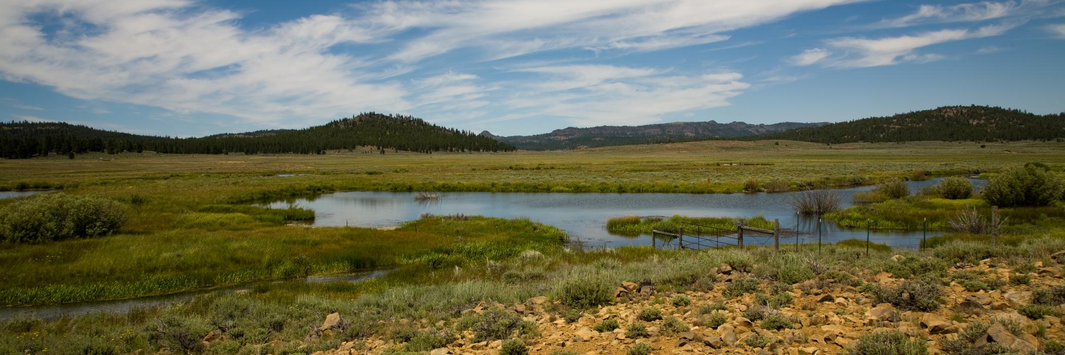 GroundwaterAct's profile banner image