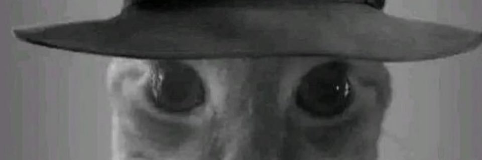 leftistiz's profile banner image