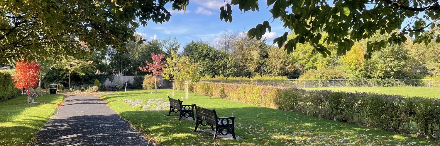 Sijing Lu（鲁思静） banner