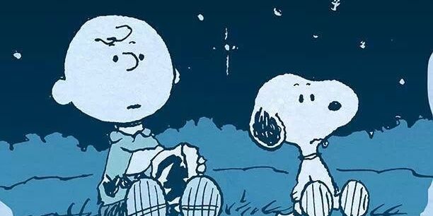 rossaann06's profile banner image