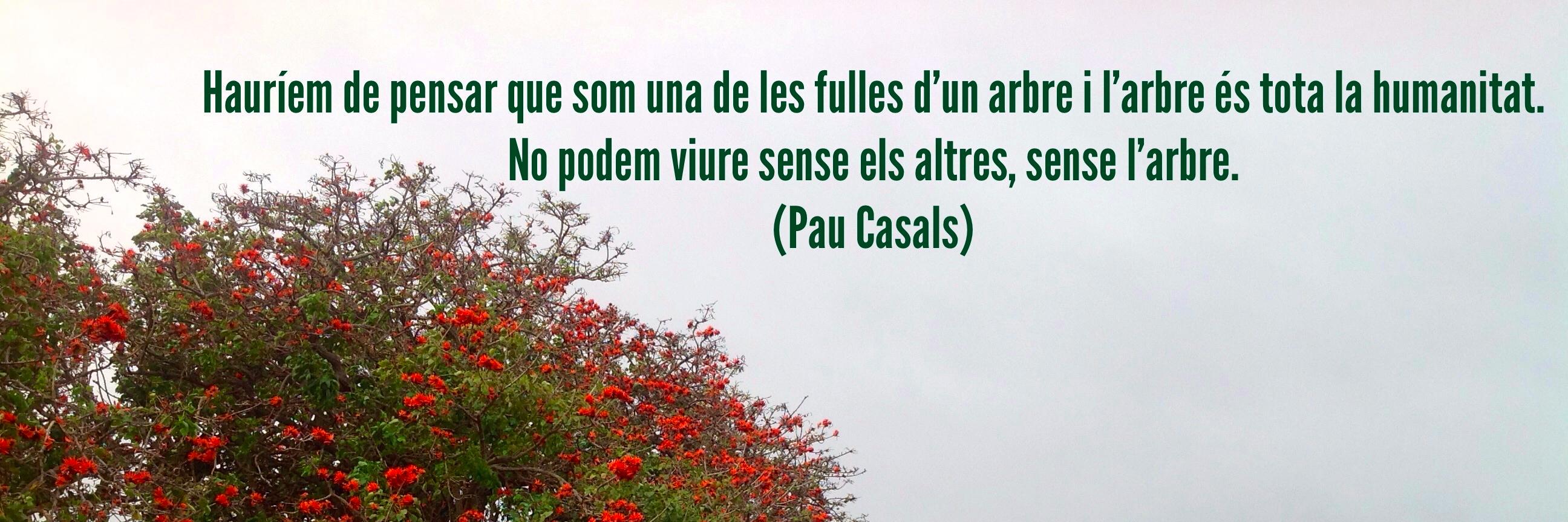 Associació Garraf Coopera banner