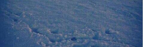 ariamargdr's profile banner image