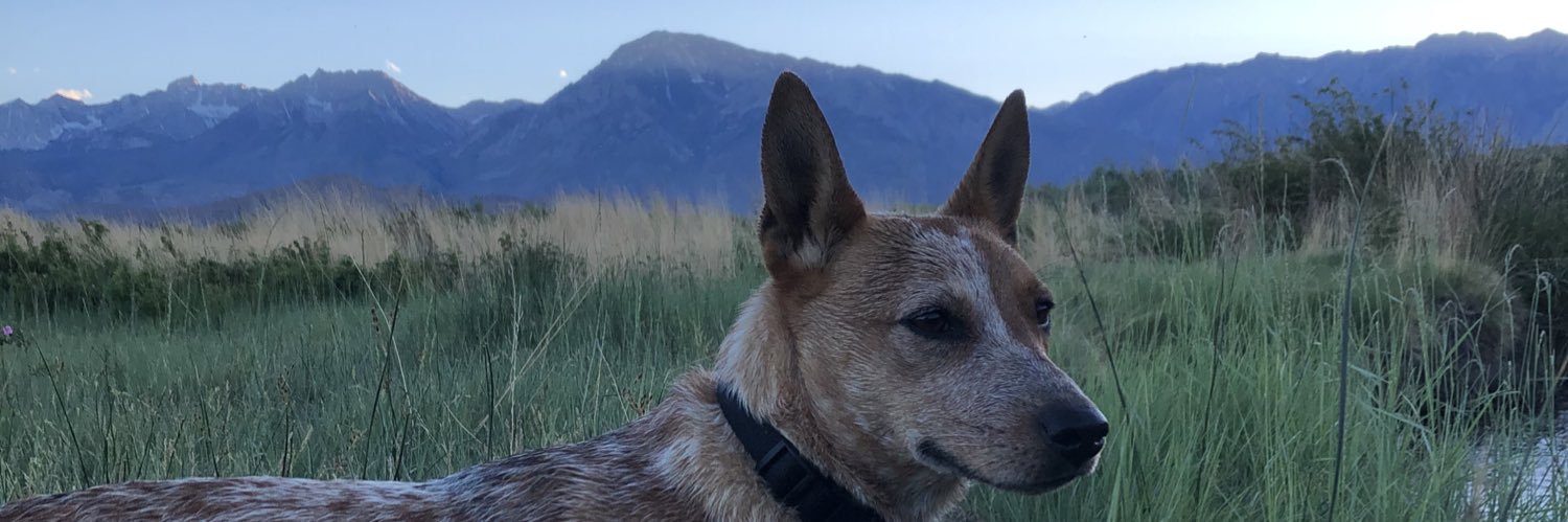 FalonParra's profile banner image