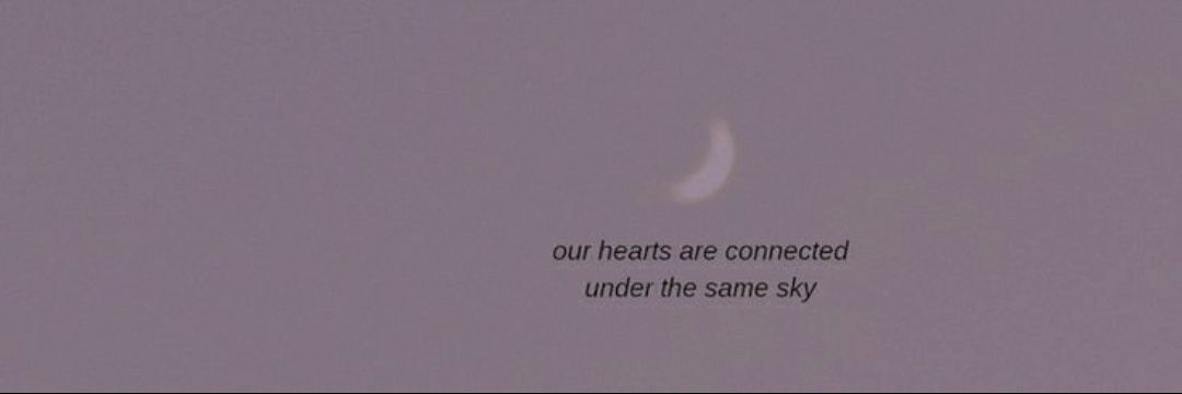 DeIicateWings's profile banner image