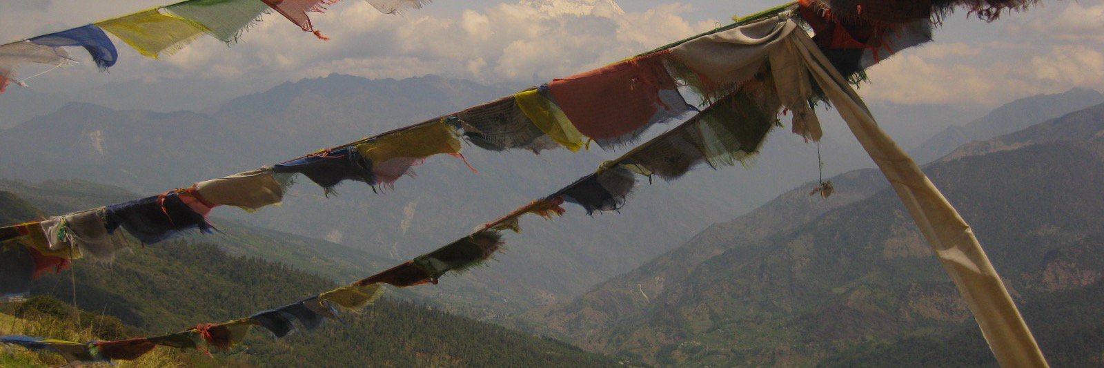 voiceofvij's profile banner image