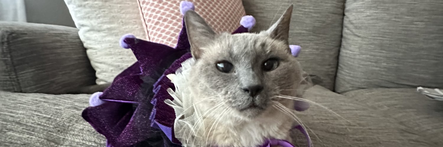 brandy banner
