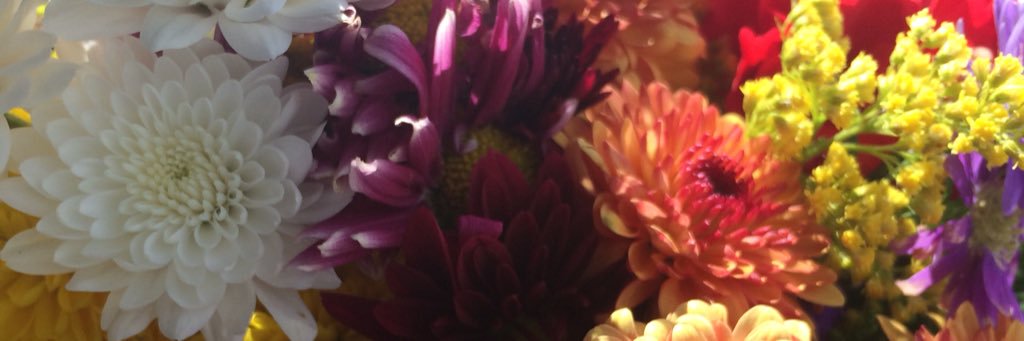 Laura_MH16's profile banner image