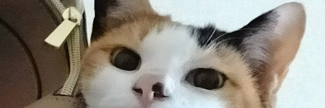 mayuge715's profile banner image