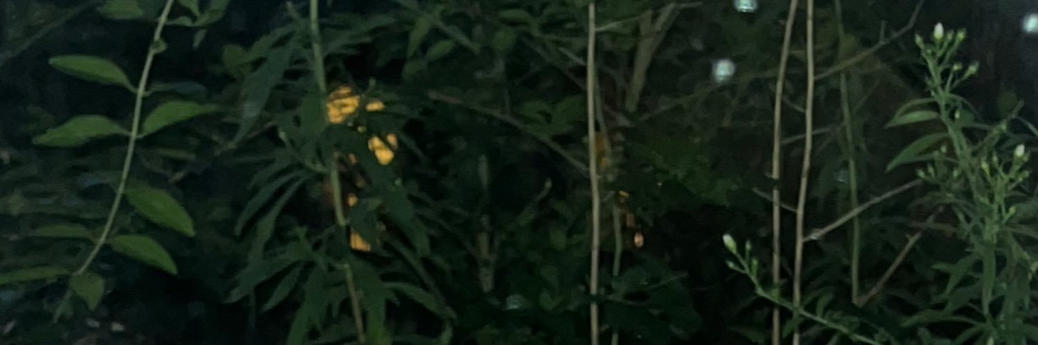 ericchecks's profile banner image