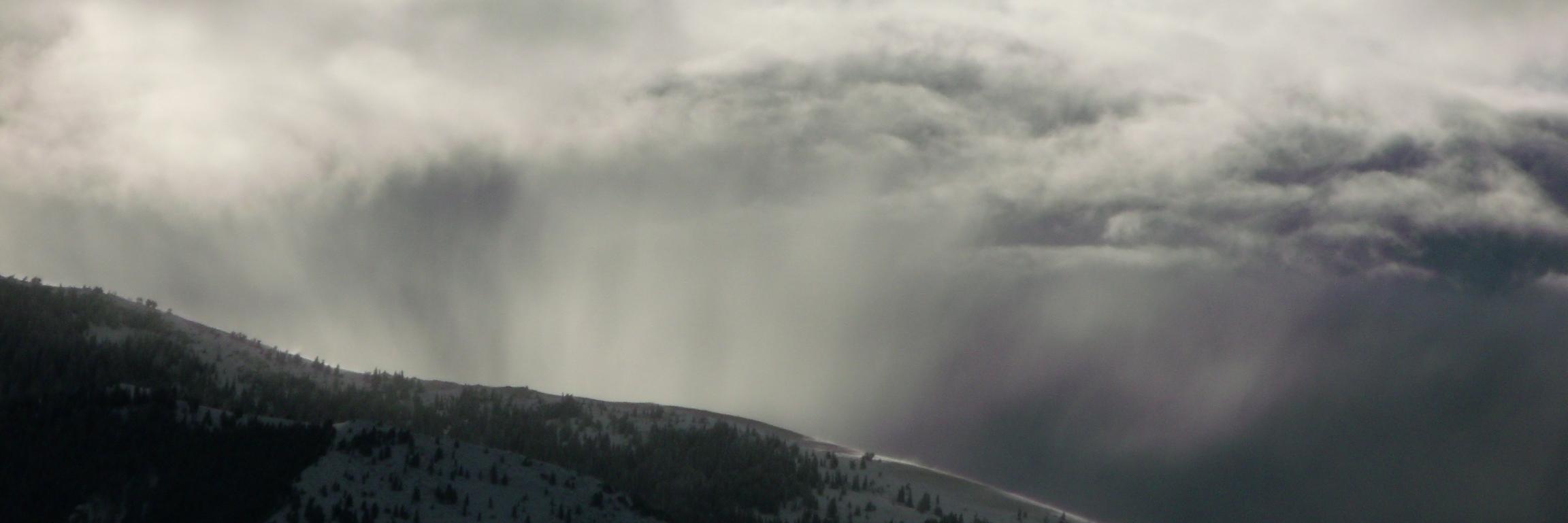 Stephen Noe banner