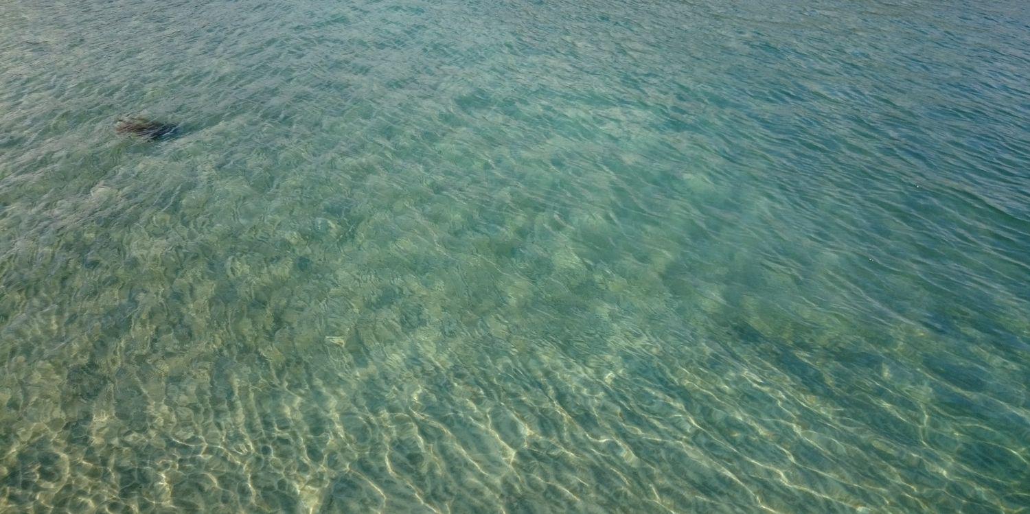 エリクシア banner