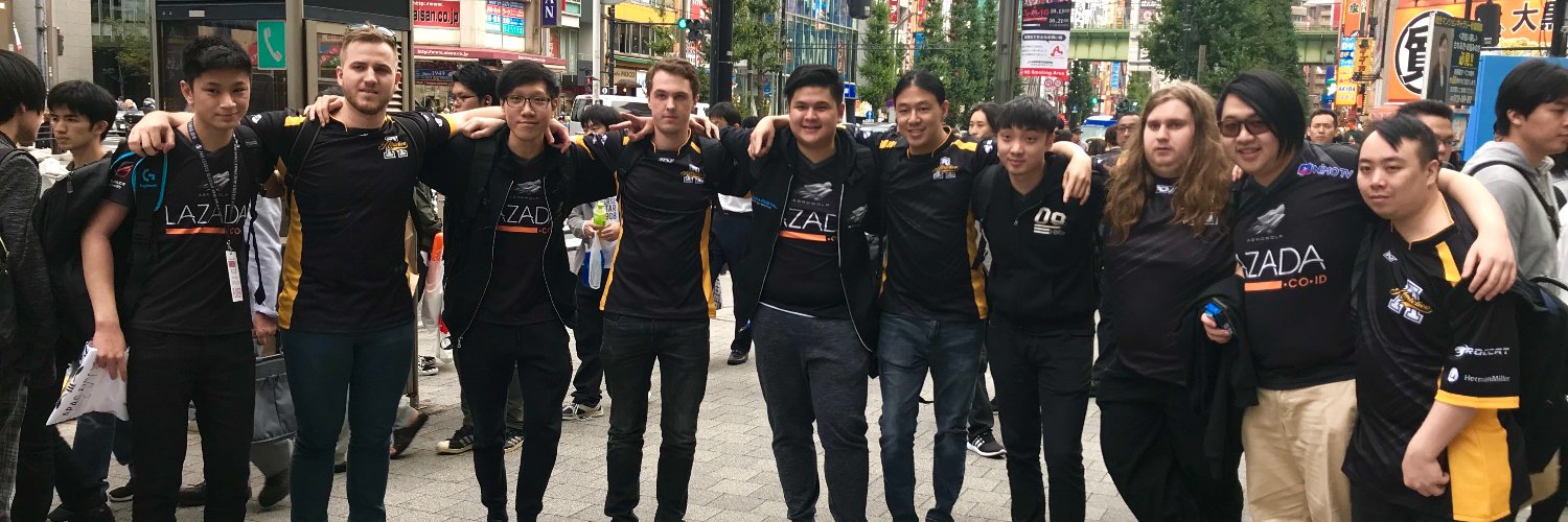 syliXgn's profile banner image