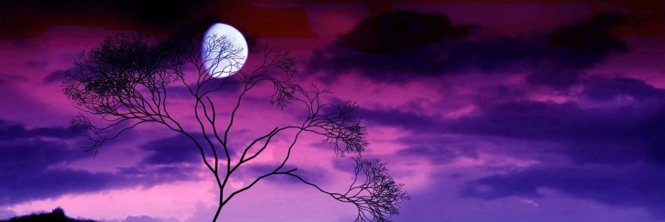 CMPixie's profile banner image