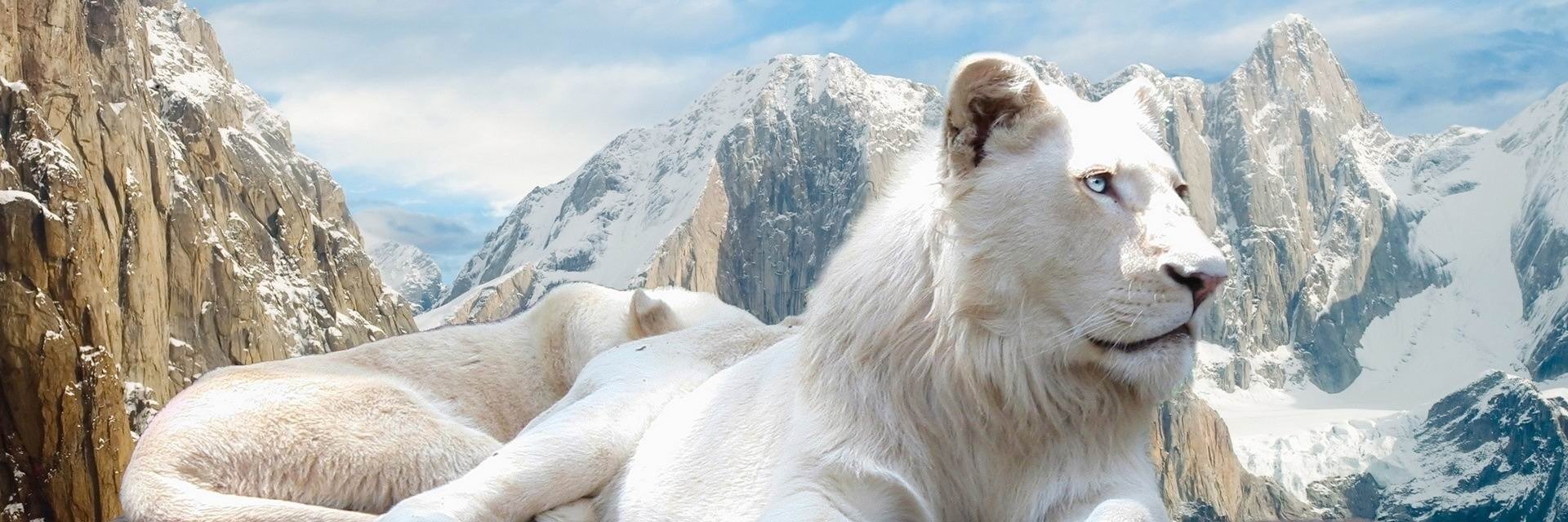LeNevanic's profile banner image