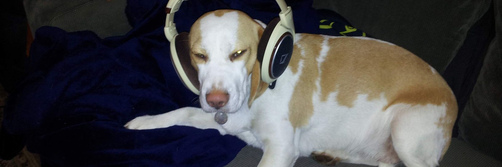 HaimdogP's profile banner image