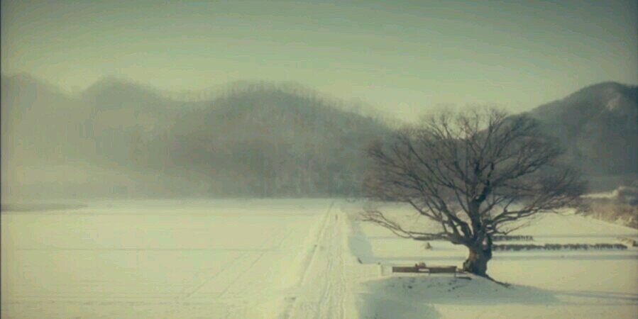 sspadyani's profile banner image