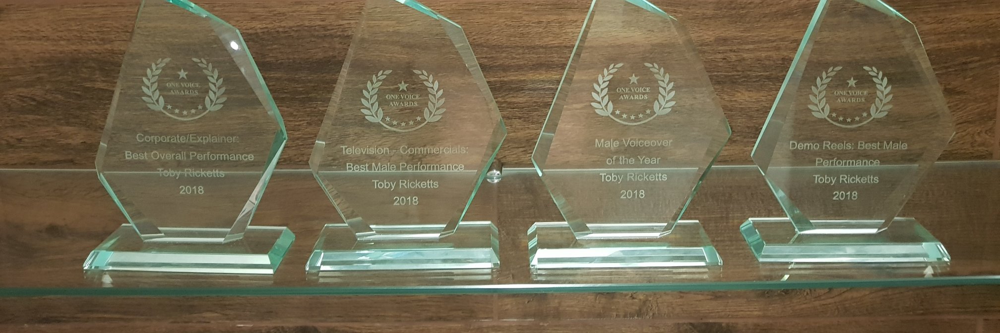 Toby Ricketts - VoiceOver banner