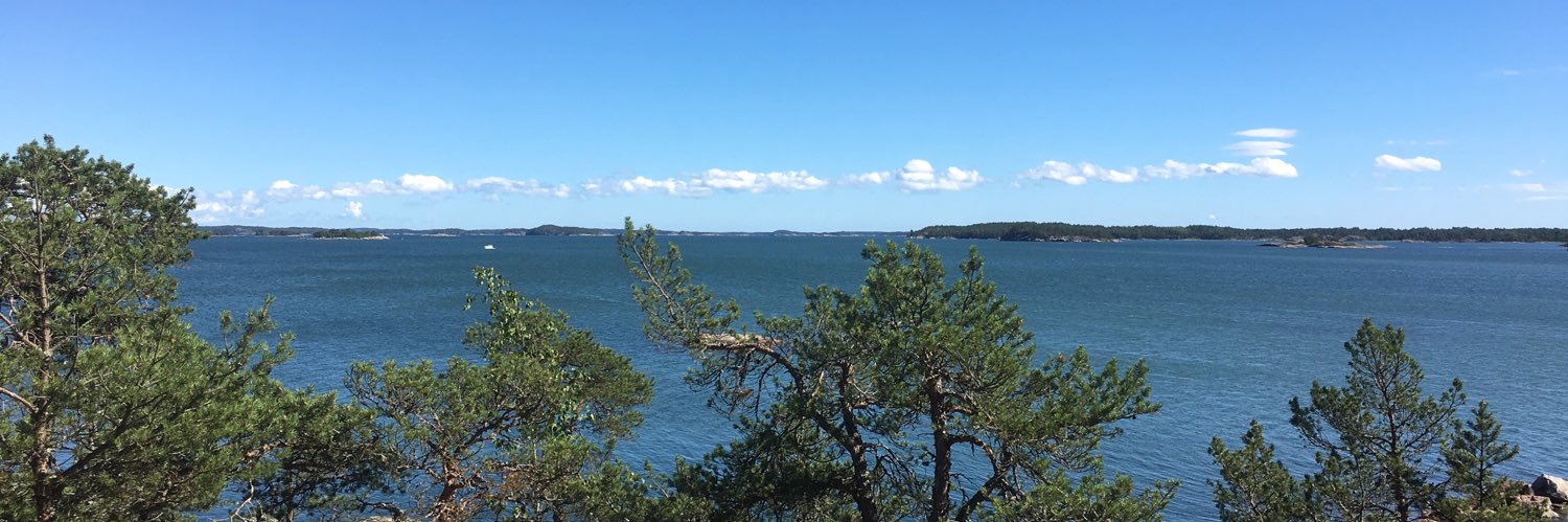 Mari Ahlström banner